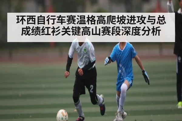 环西自行车赛温格高爬坡进攻与总成绩红衫关键高山赛段深度分析